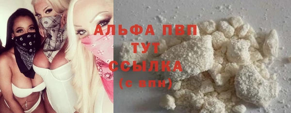 крисы Алексин