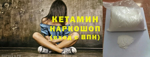 крисы Алексин