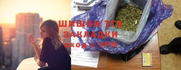 spice Алзамай
