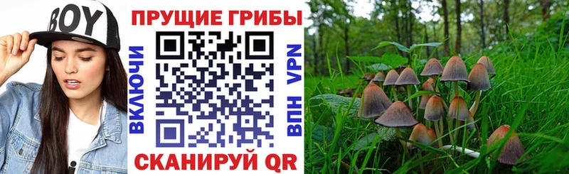 Галлюциногенные грибы мухоморы  нарко площадка наркотические препараты  Крым 